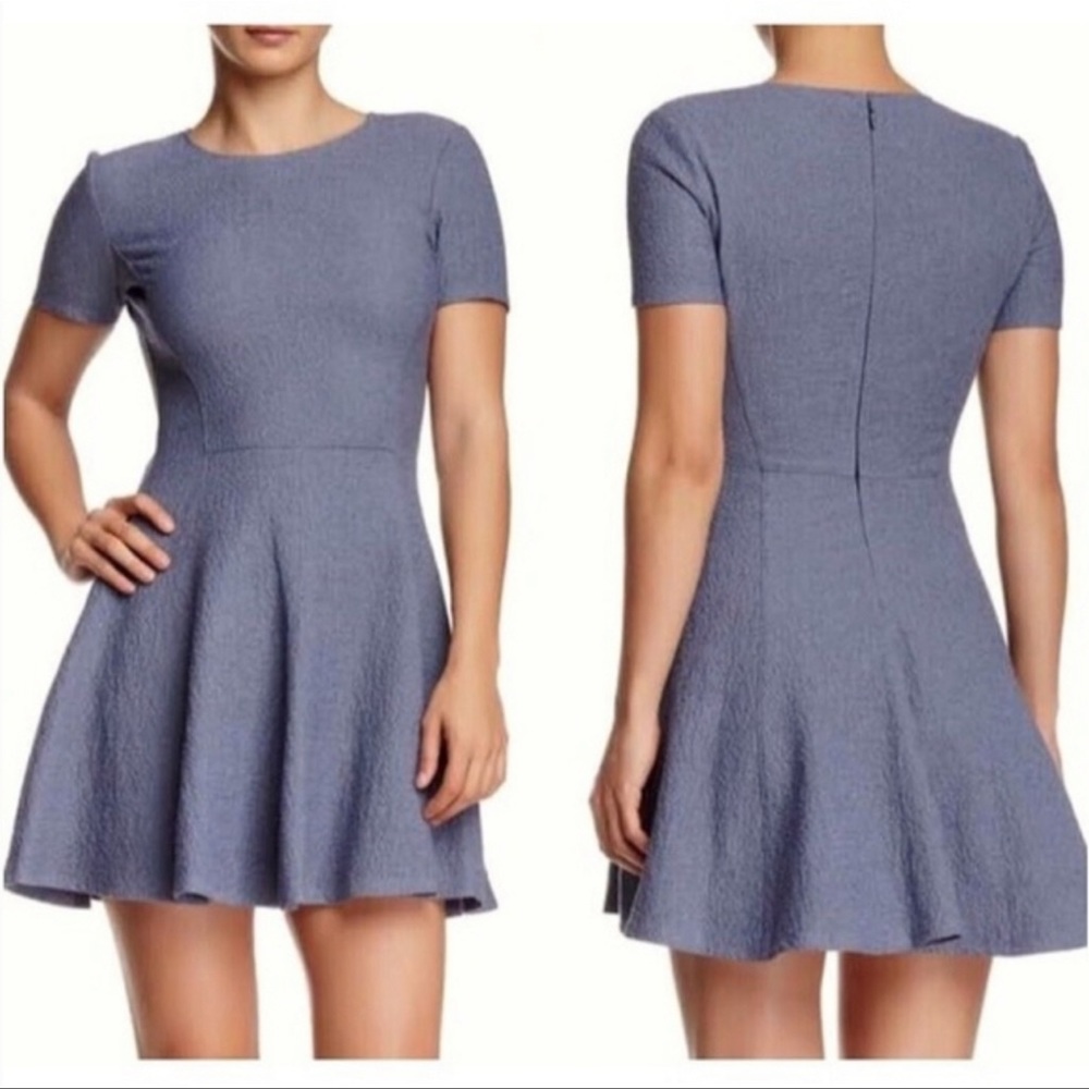 THEORY Albita Fit & Flare Shoet Sleeve Fit & Flare mini dress size 2